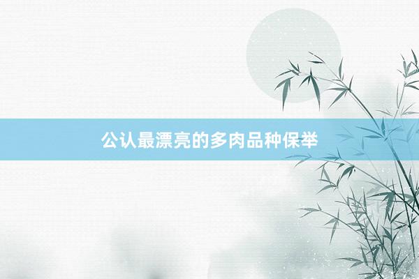 公认最漂亮的多肉品种保举