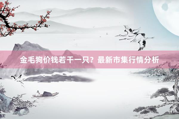 金毛狗价钱若干一只？最新市集行情分析